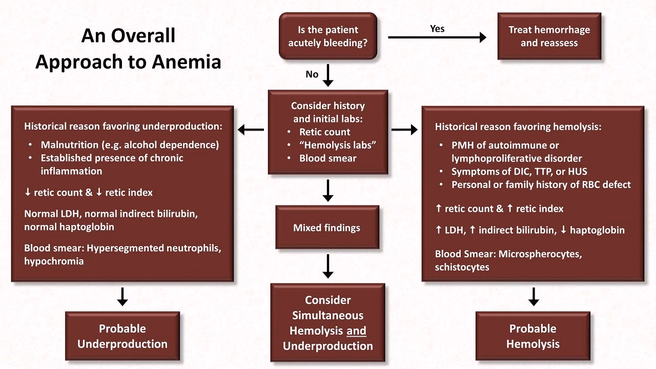 How is anemia treated?