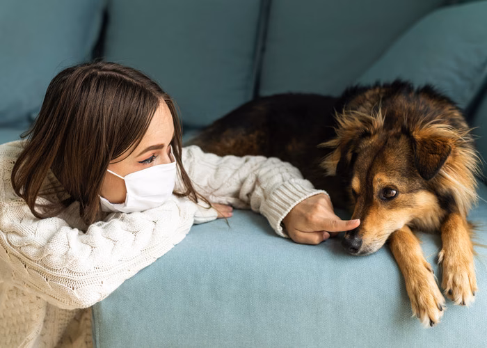 What is an animal allergy?