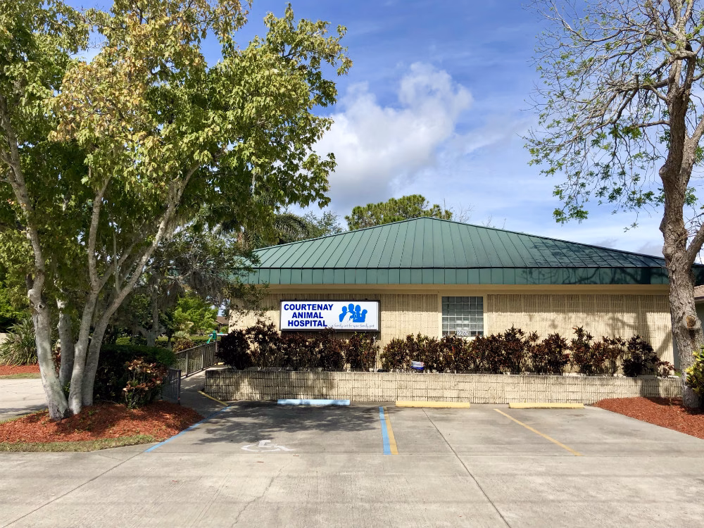 What services does Comox Valley veterinary hospital offer?