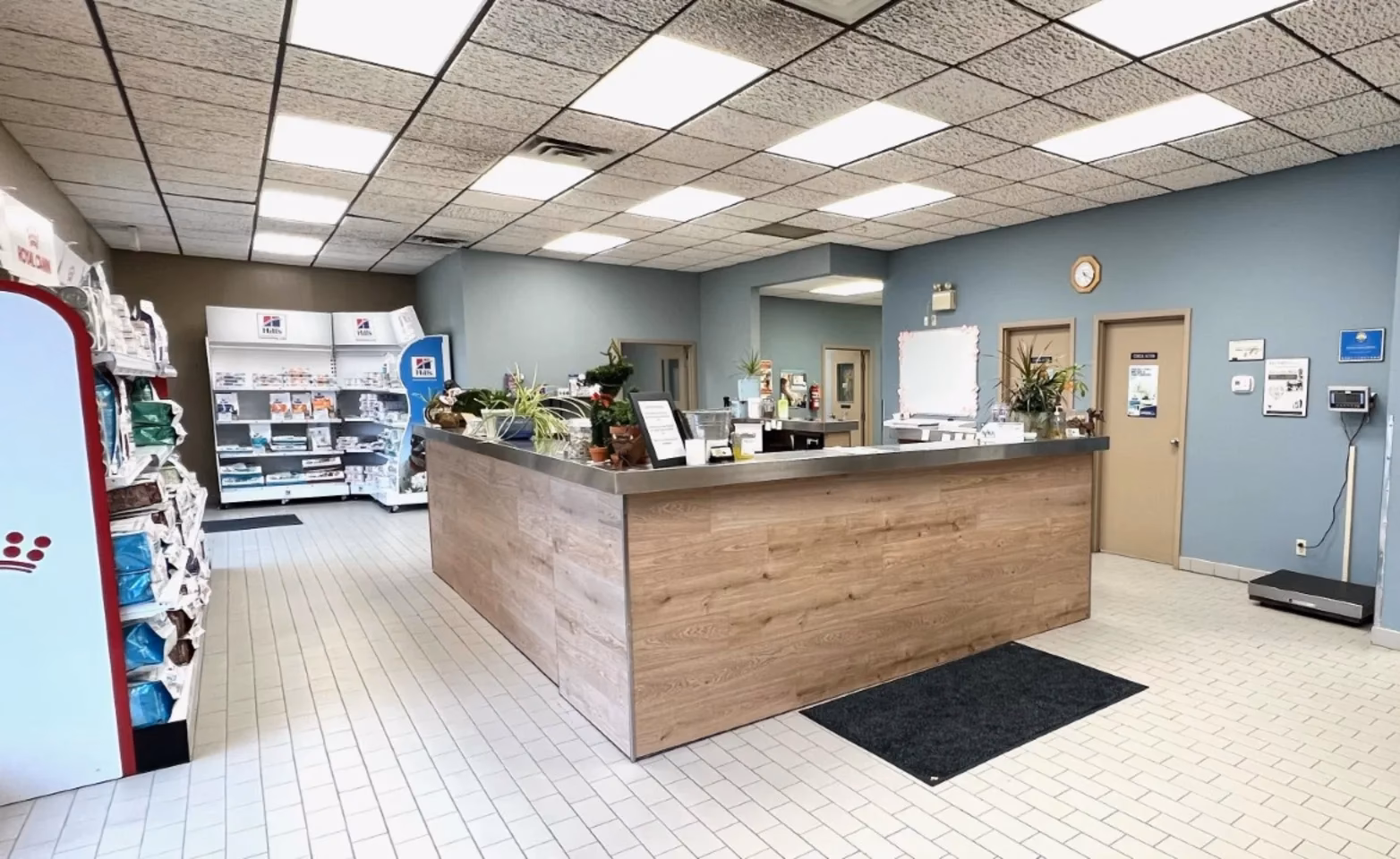 Why should you choose a pet hospital in Kitchener/Waterloo?