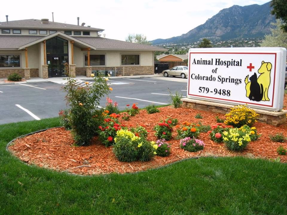 What is the Animal Hospital of Colorado Springs?