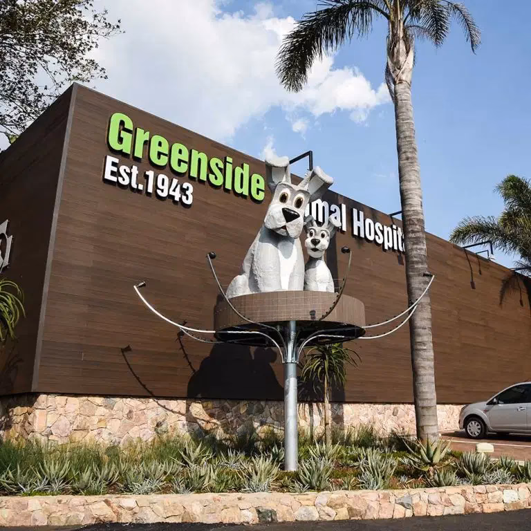 What is George animal hospital?