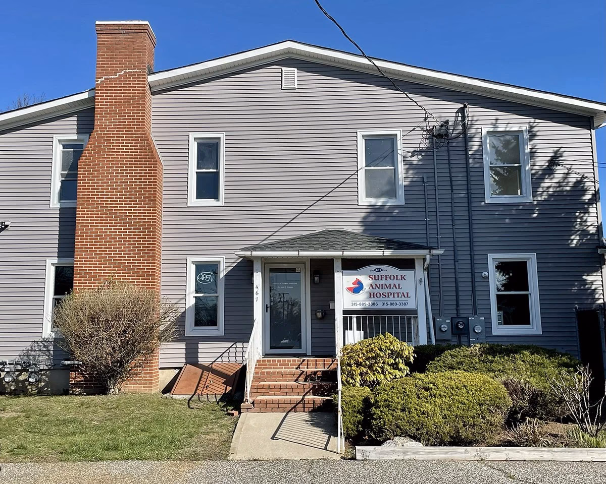 Who is Suffolk animal hospital?