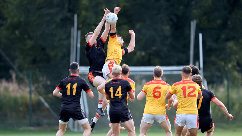 What is Antje utgaard net worth?