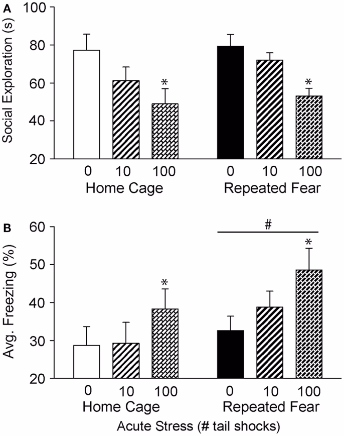 What is anxiety Agnosis?