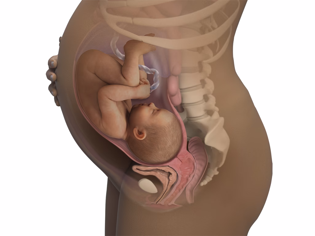 Is 38 weeks pregnant a full-term baby?