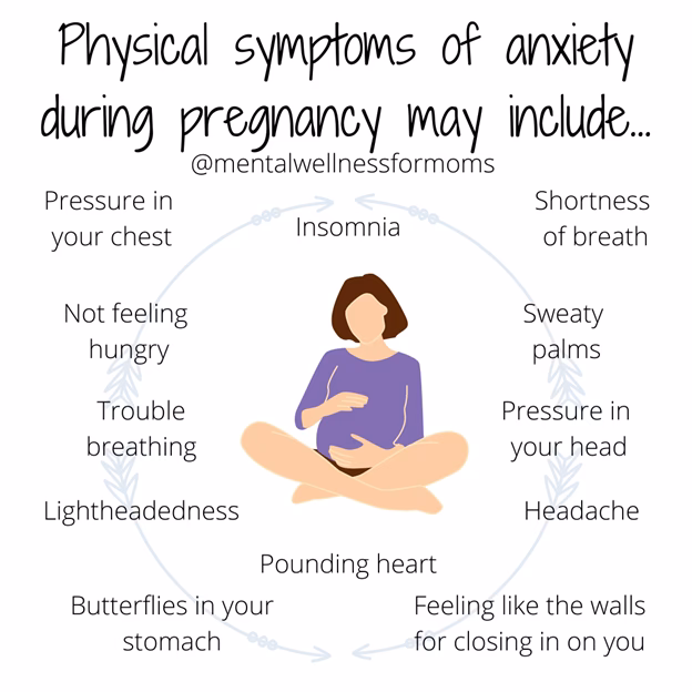 What is the 3rd trimester of pregnancy?