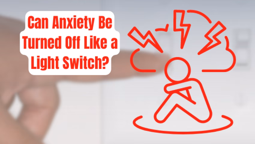 Which brain circuit is responsible for anxiety reducing effects?