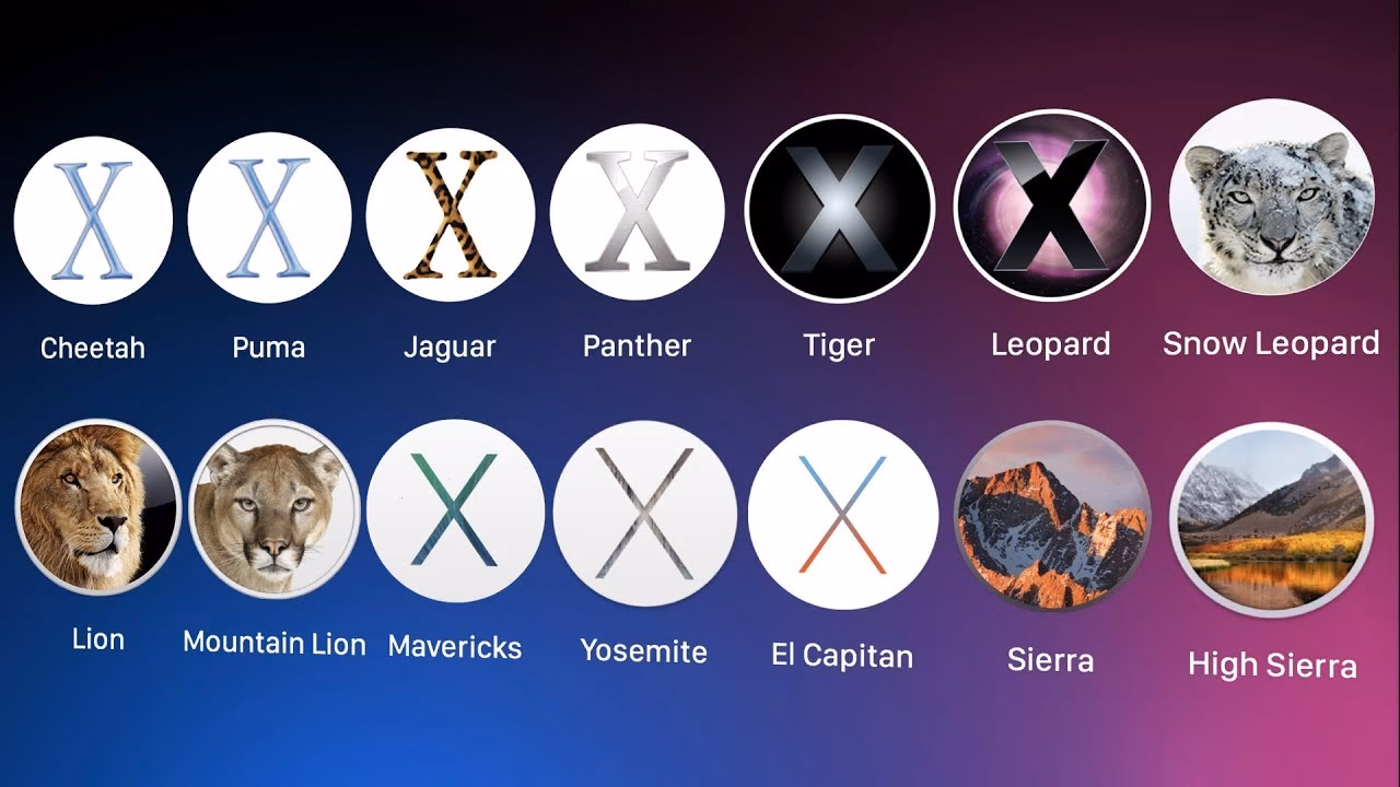 How many versions of Mac OS X are there?