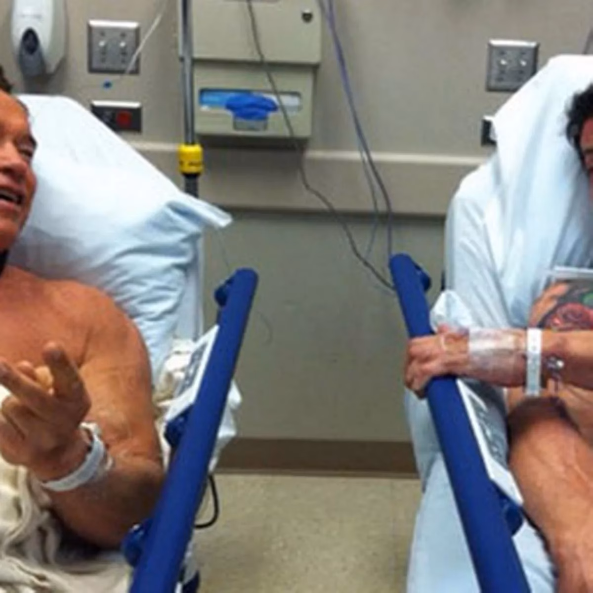 What euphoric moments did Arnold Schwarzenegger and Sylvester Stallone have?