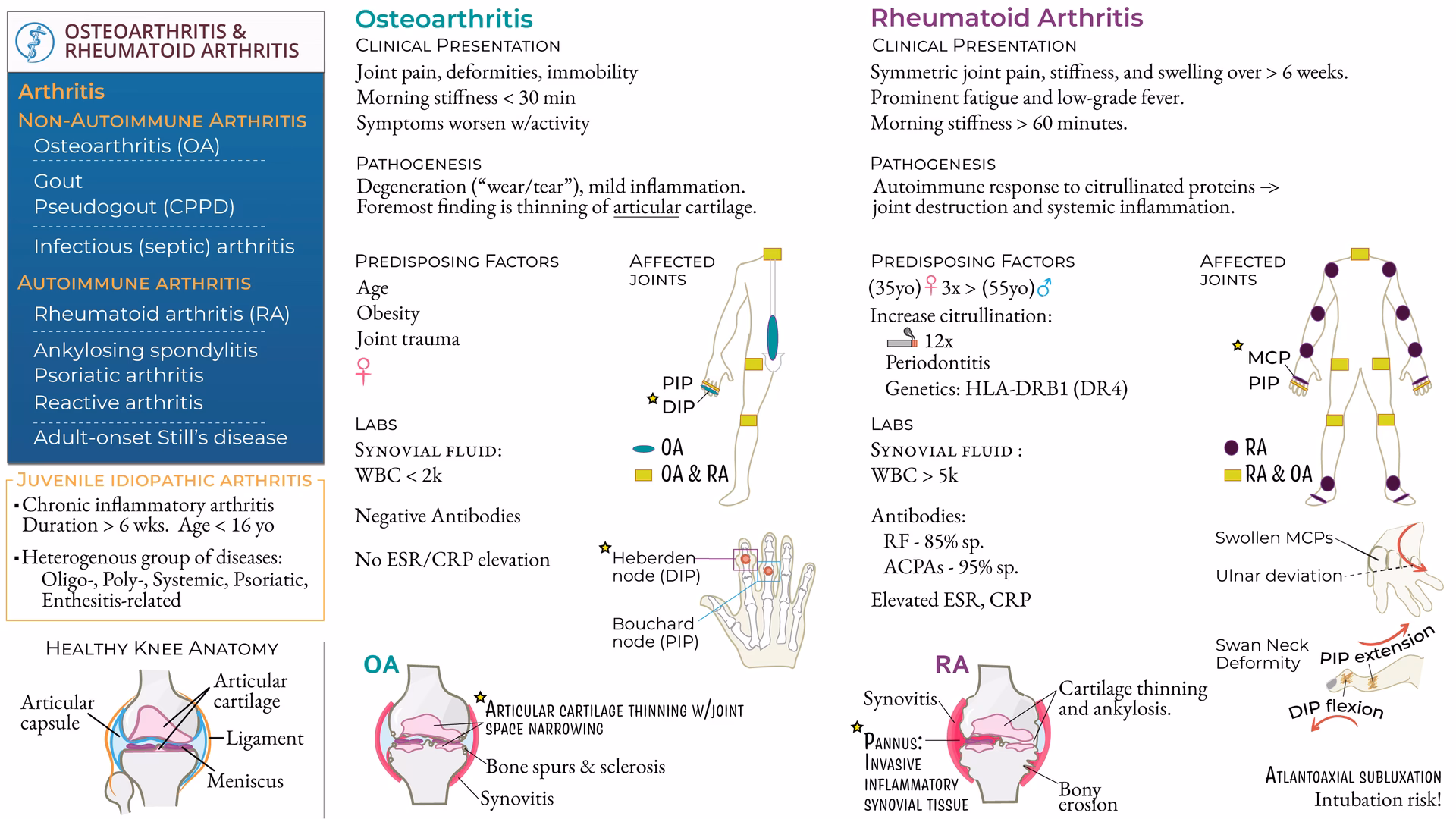 How is arthritis diagnosed?
