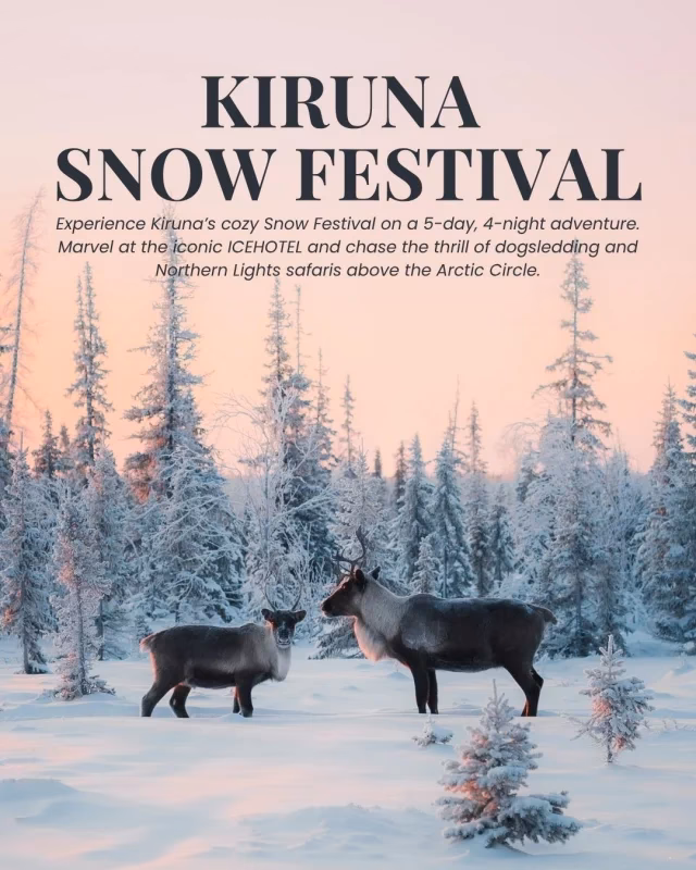 What is the Association of Swedish travel industry (SRF)?