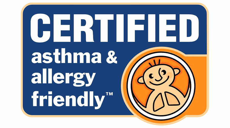 How many asthma PNGs are available for free download?