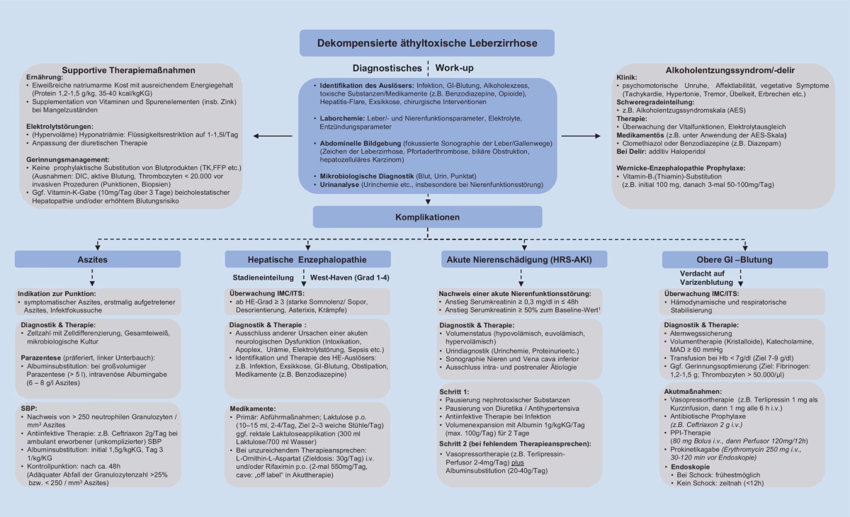 Was ist eine alkoholische Hepatopathie?