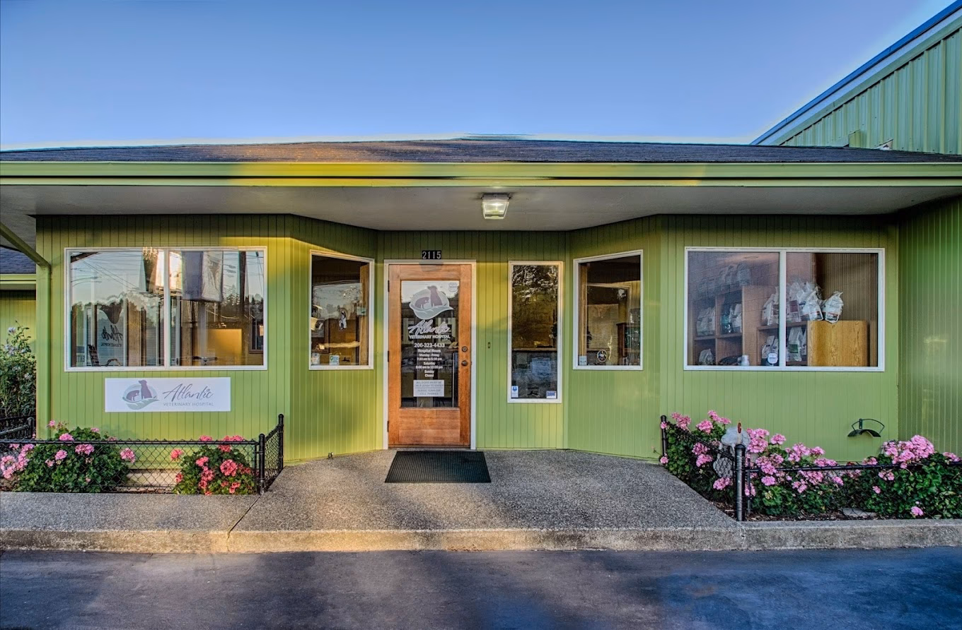 Why should you choose Atlantic Veterinary Hospital?