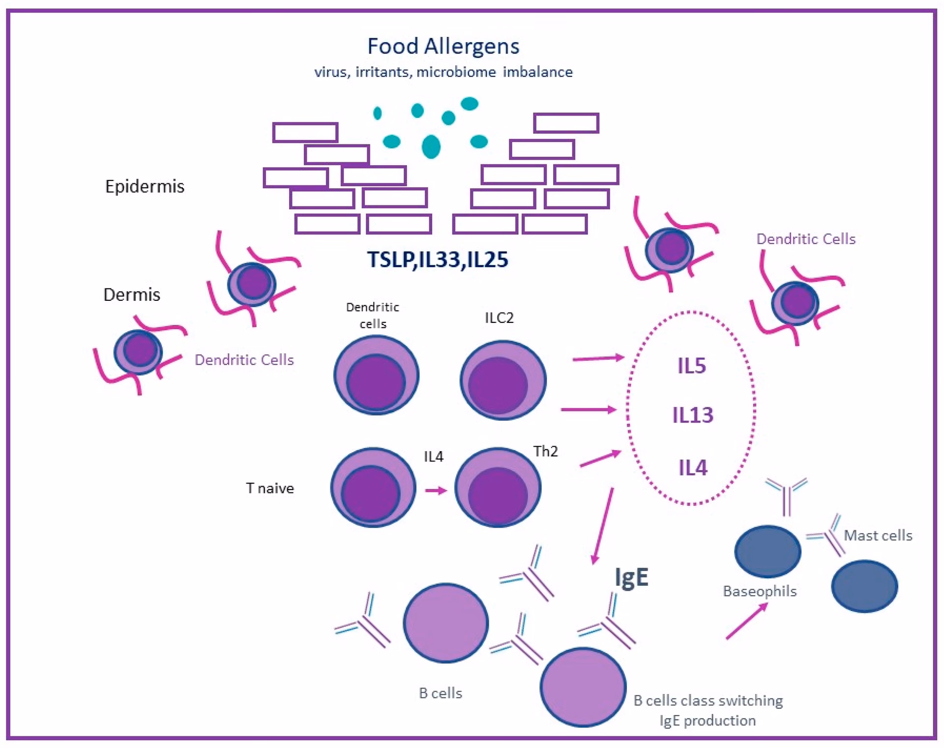 Can atopic dermatitis cause food allergy?