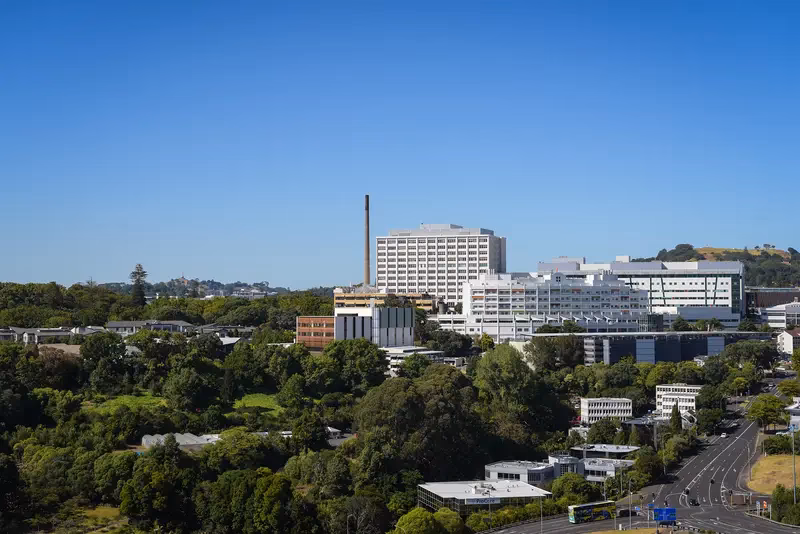 What time is Auckland City Hospital ED open?