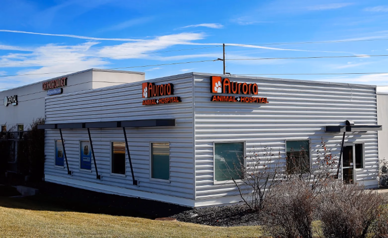 What services does Aurora Animal Hospital offer?