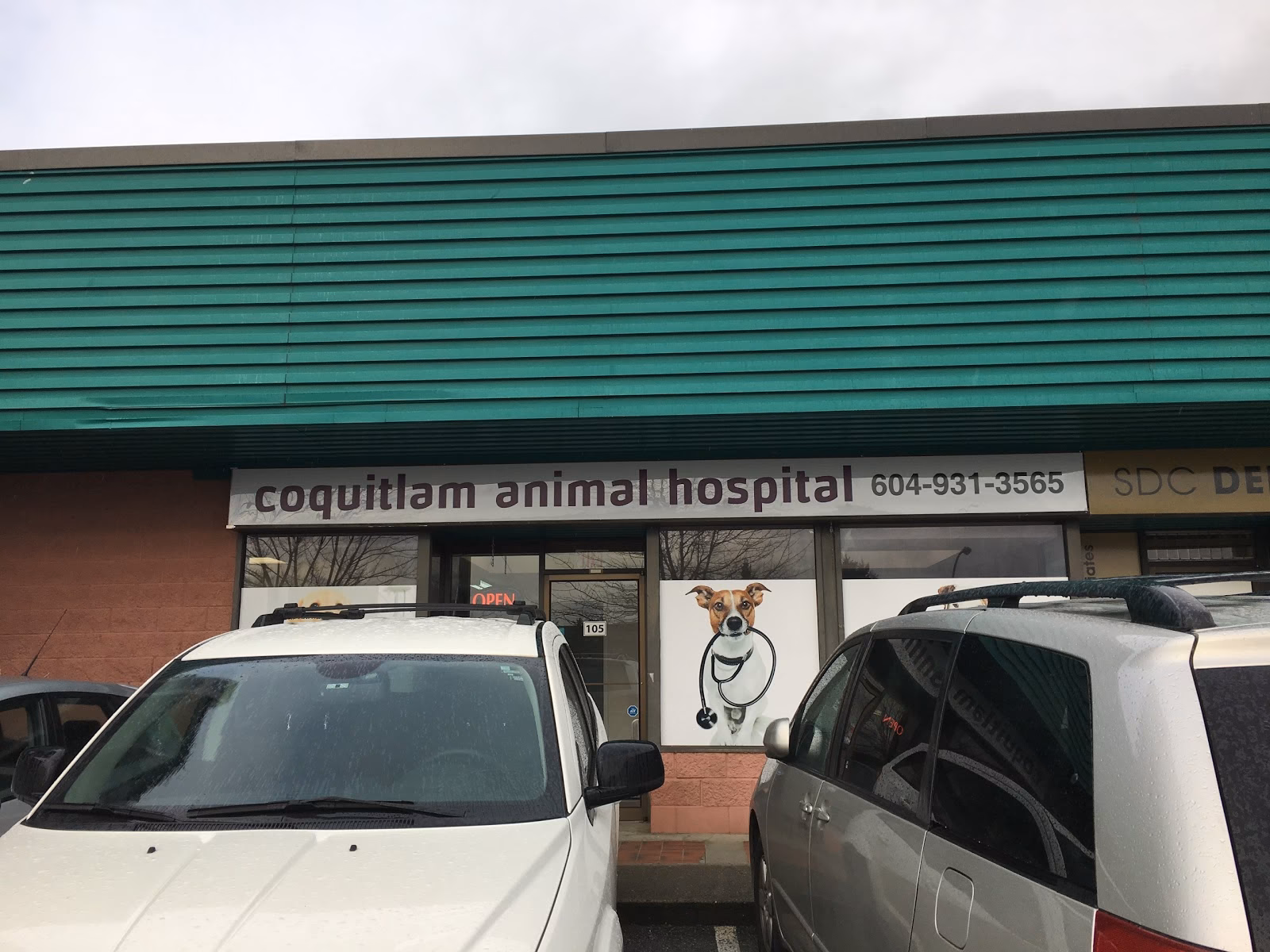 Who is Austin vet hospital?