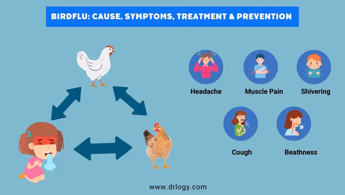 What happens if you get bird flu?