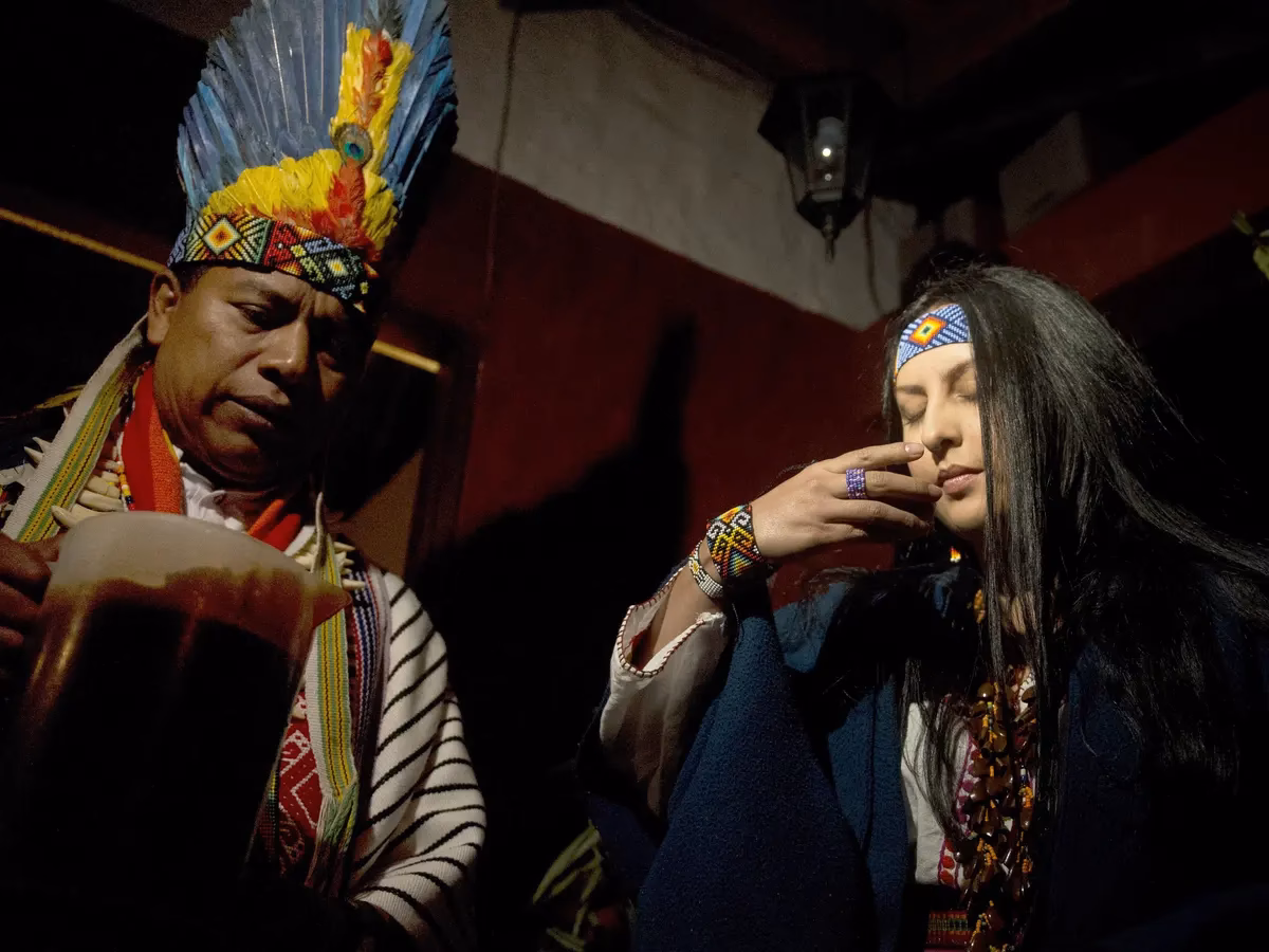 What are ayahuasca courses?