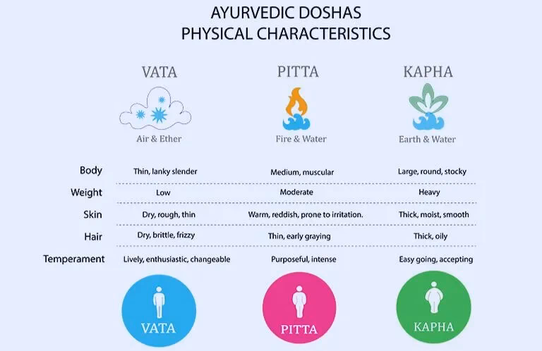 What are kapha and Pitta?