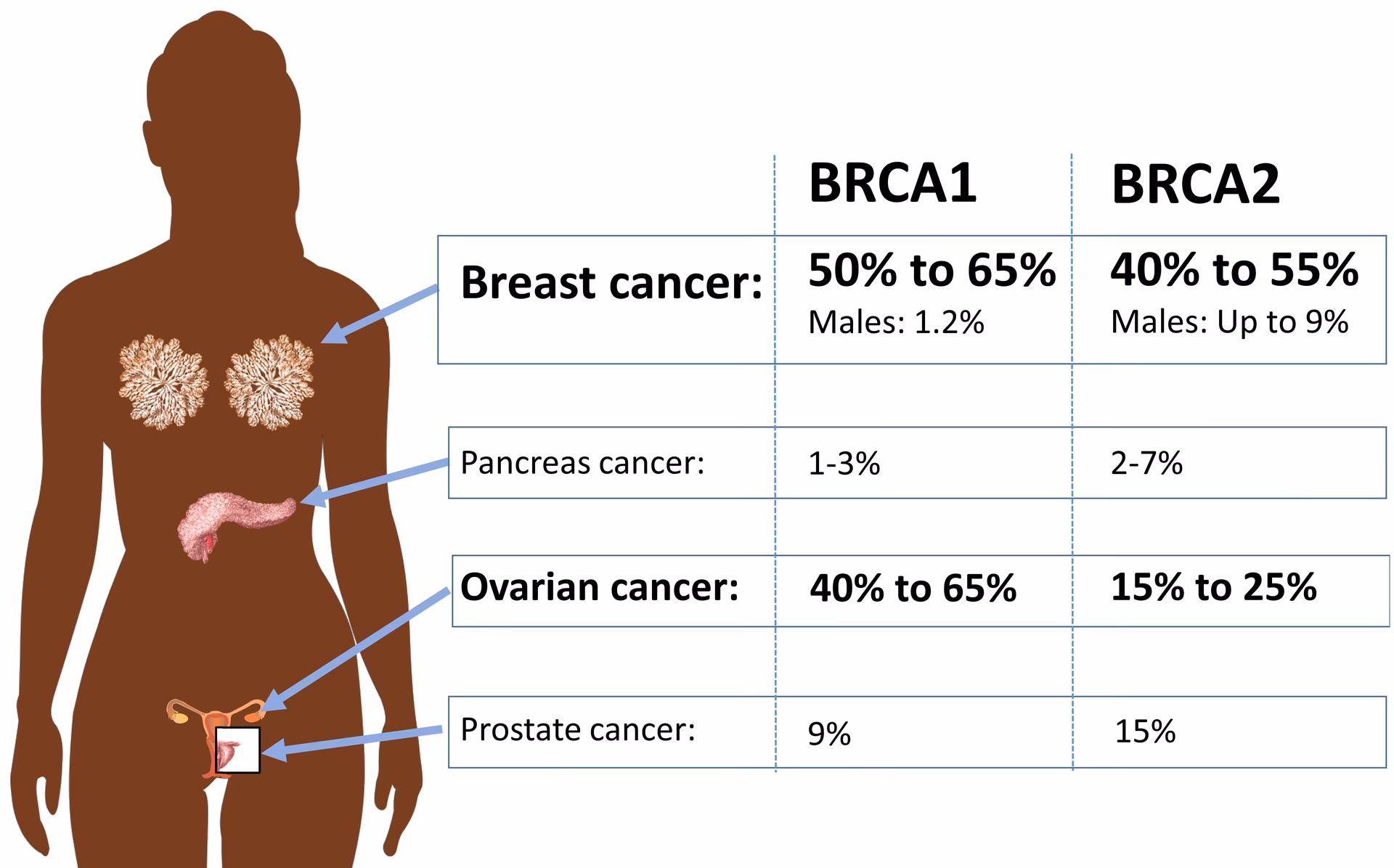 Are B cell subsets associated with cancer prognosis?