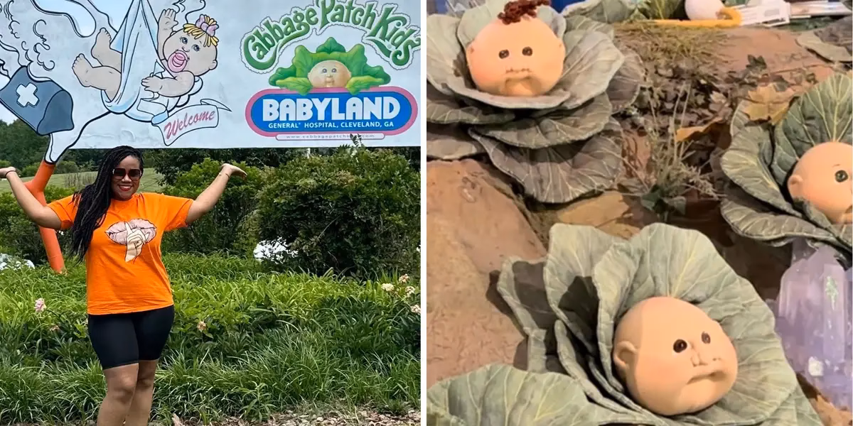 What's happening at Babyland General Hospital?