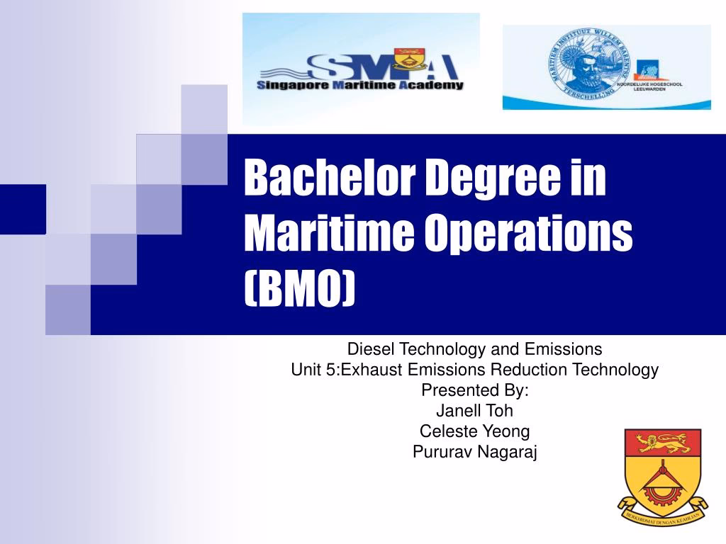 What can I do with a BSc Maritime Operations Management (nautical science)?