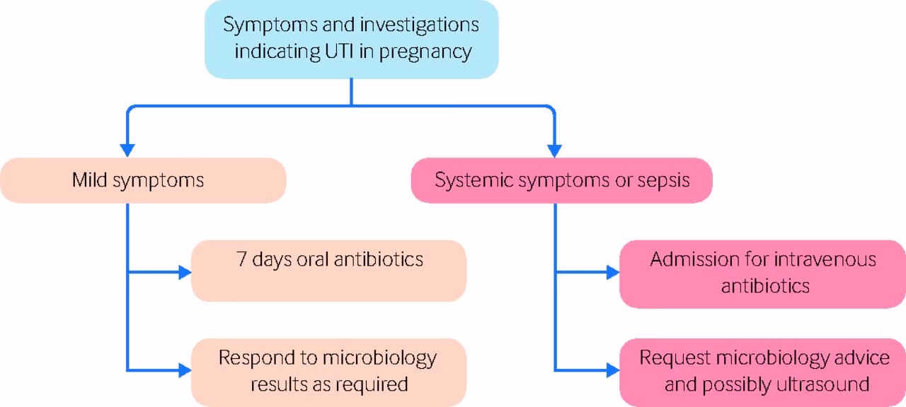 Are urinary tract infections common in pregnant women?