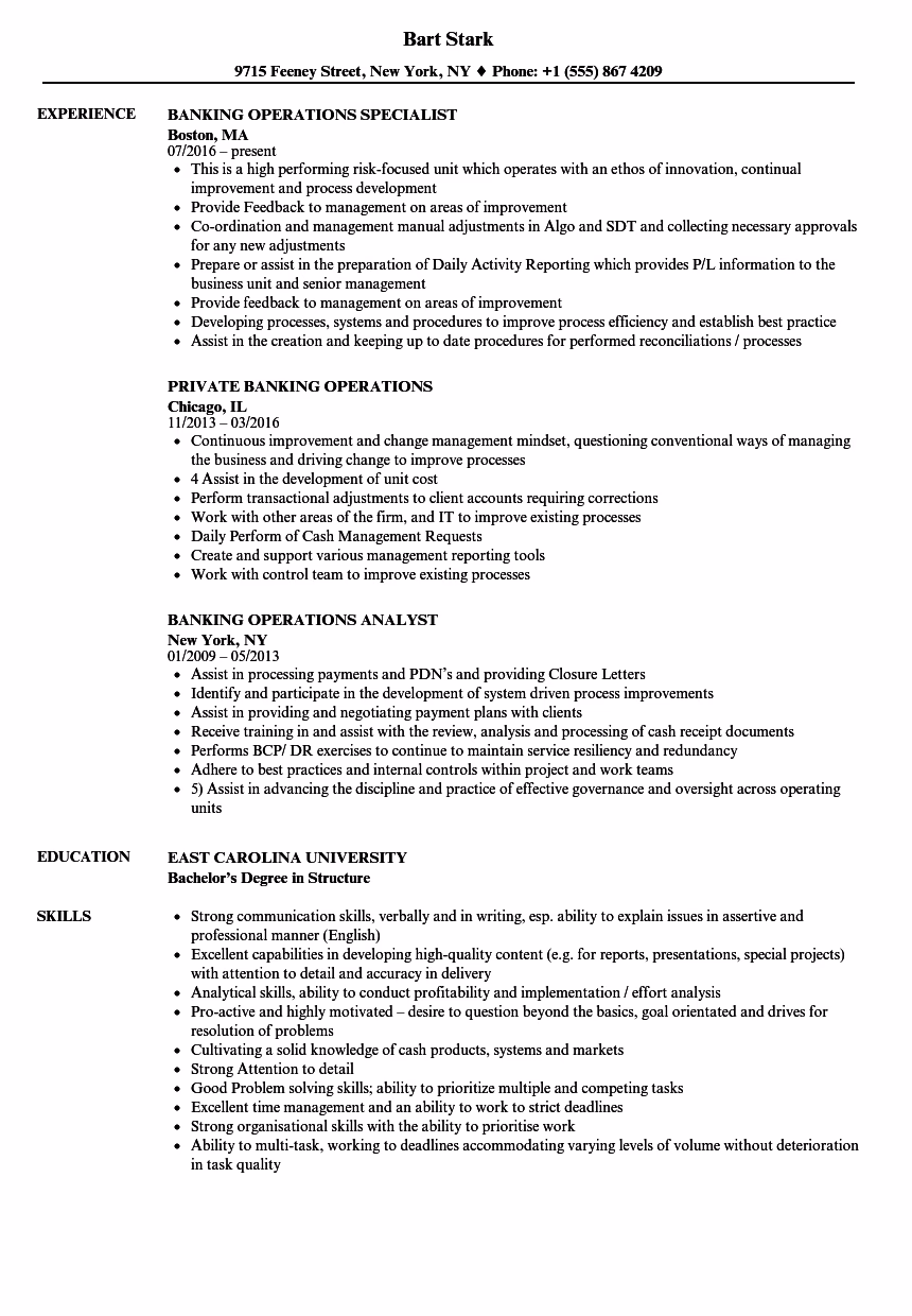 What does a bank policy & procedures officer do?
