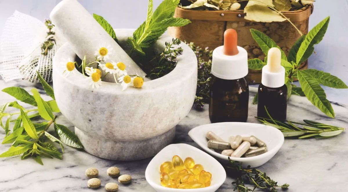 Why should we study herbal medicine?