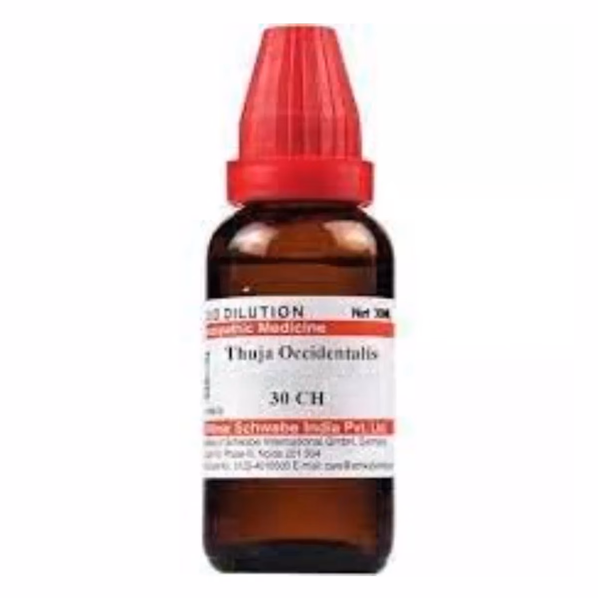 What is Thuja occidentalis in homeopathy?