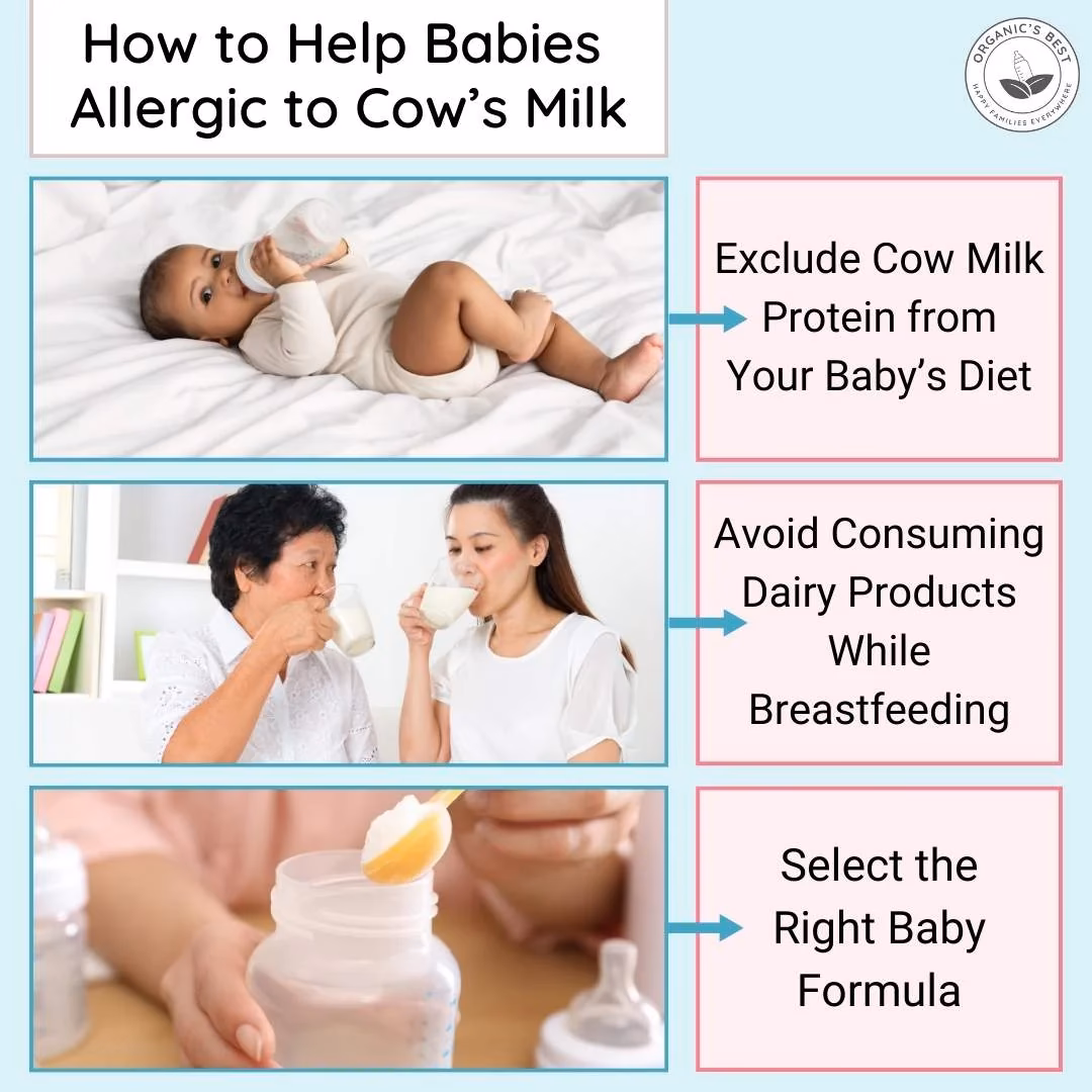 Can a baby eat a milk formula if he is allergic?