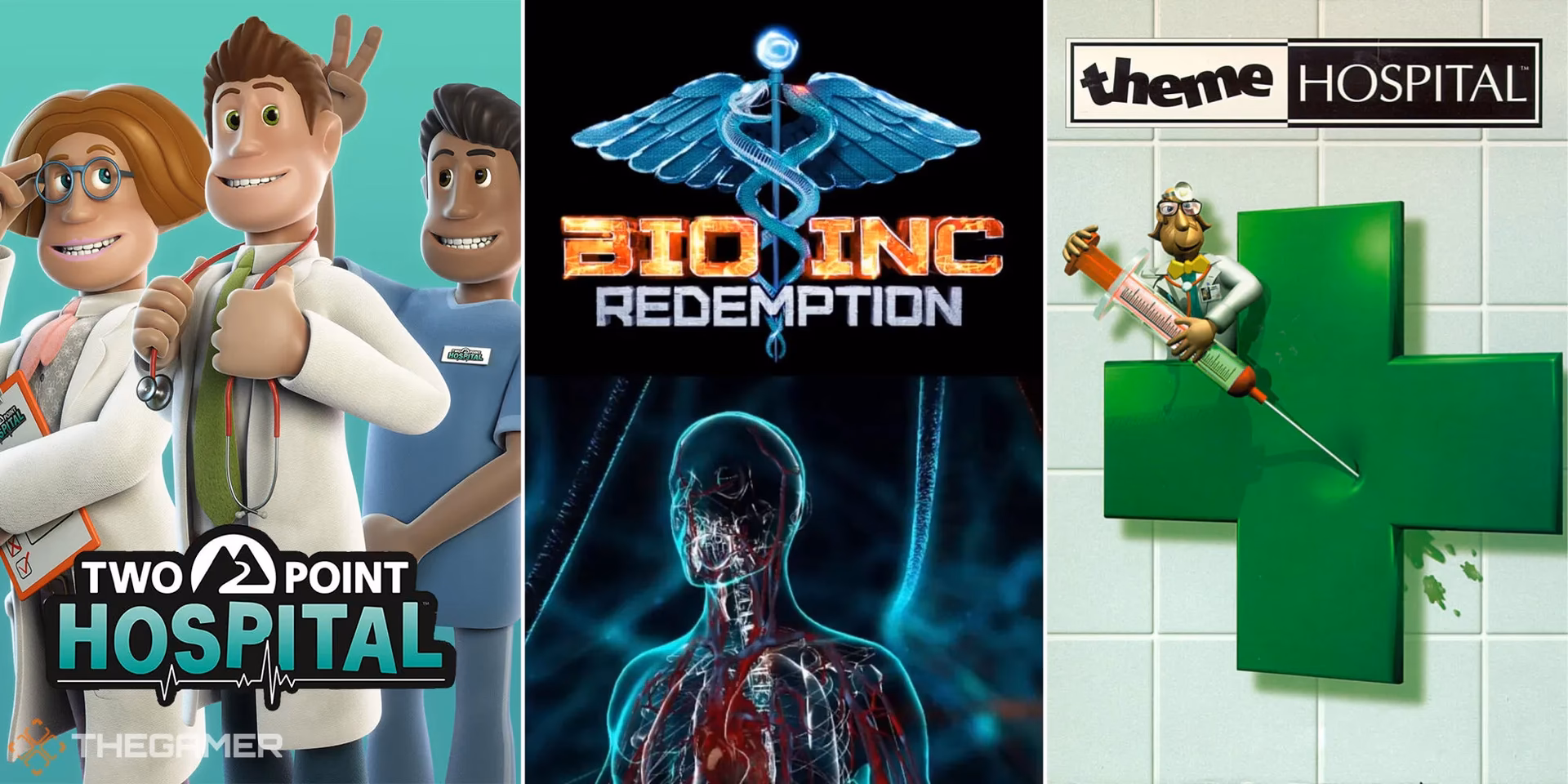 Is project Hospital a good medical sim game?