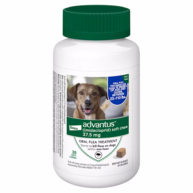 What is the best flea treatment for dogs?