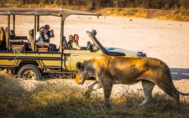 Why should you choose a local Tanzania safari operator?