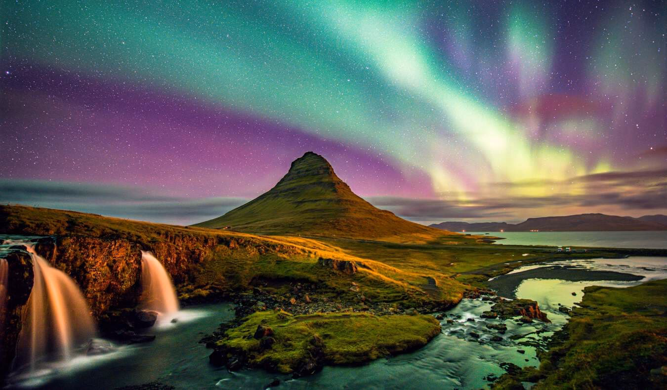 How many Iceland tour operators & travel companies are there?