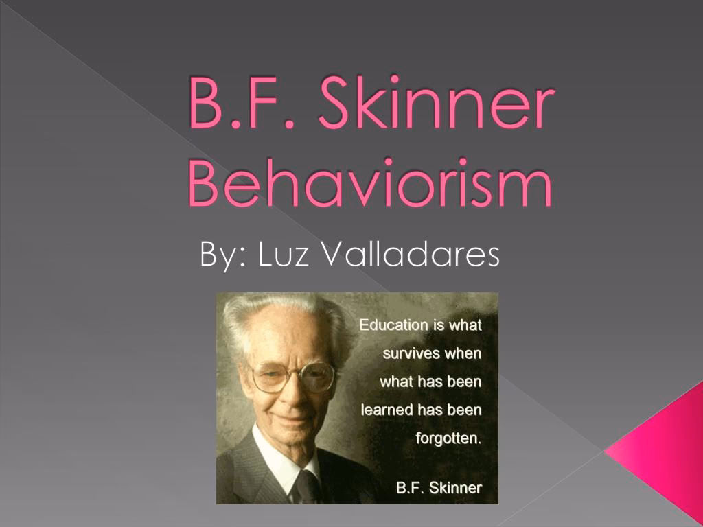 What is the BF Skinner operant theory?