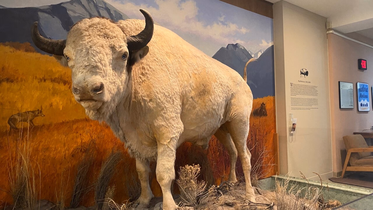 What is 'Big Medicine'?