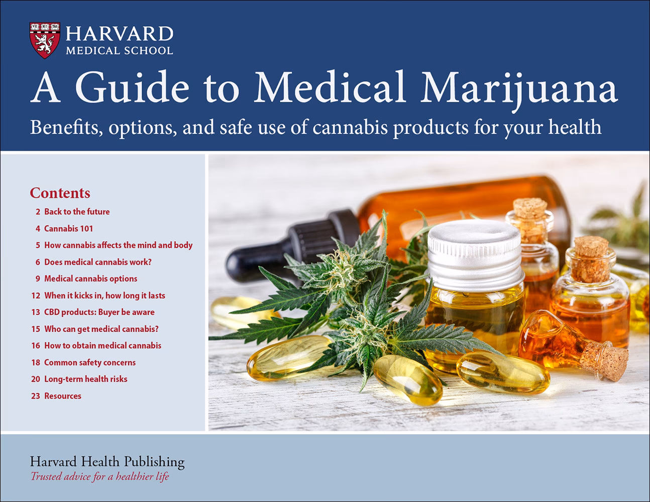 Will syqe medical become a top 10 marijuana company?