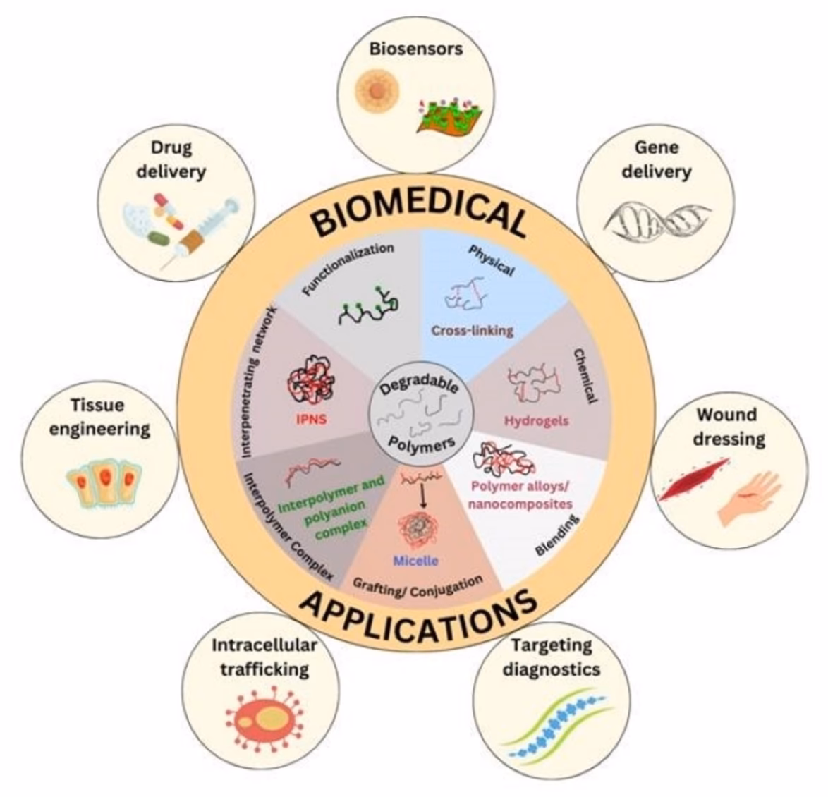 What are biodegradable polymer materials used in medicine?