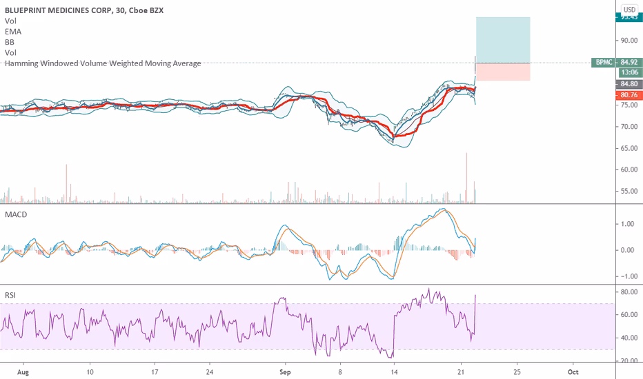 Who is the CEO of blueprint medicines?