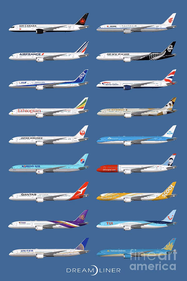 Which airline has the largest Boeing 787-10 Dreamliner fleet?