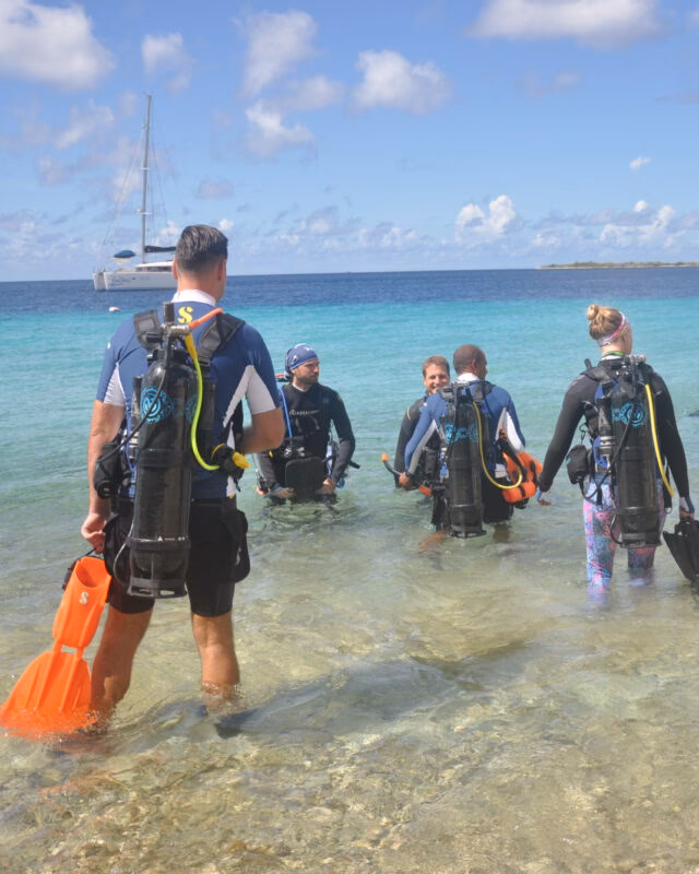Who is dive Diva Bonaire?