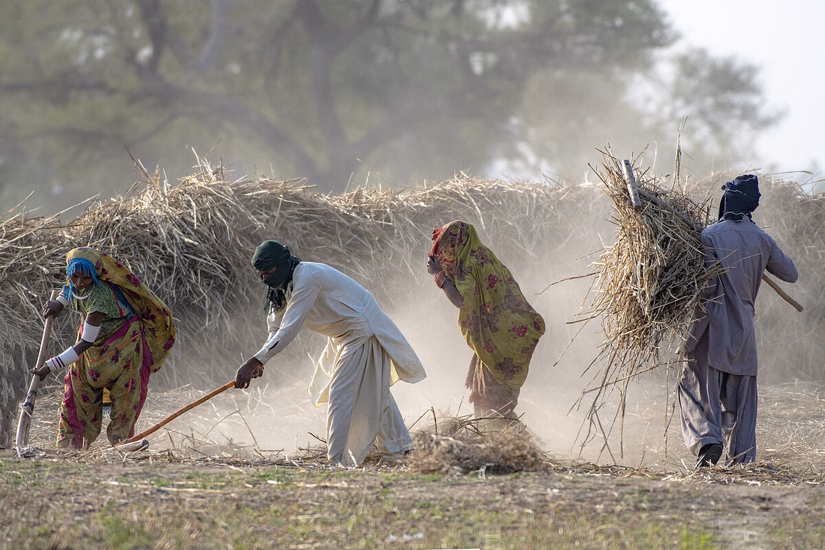 What is bonded labour system?
