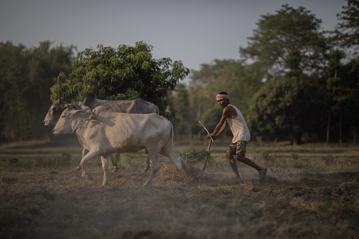 What happens if a person is born into bonded labour?