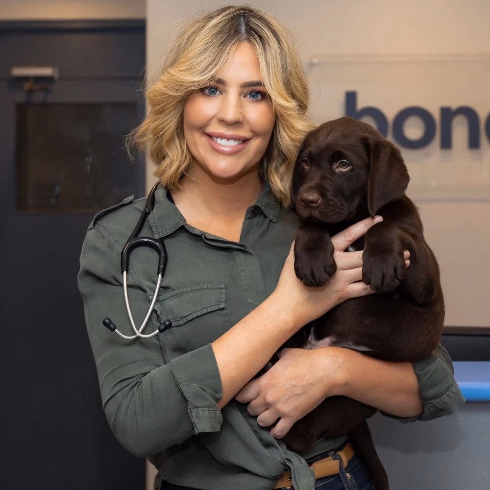 Is Bondi Vet hospital open or closed?