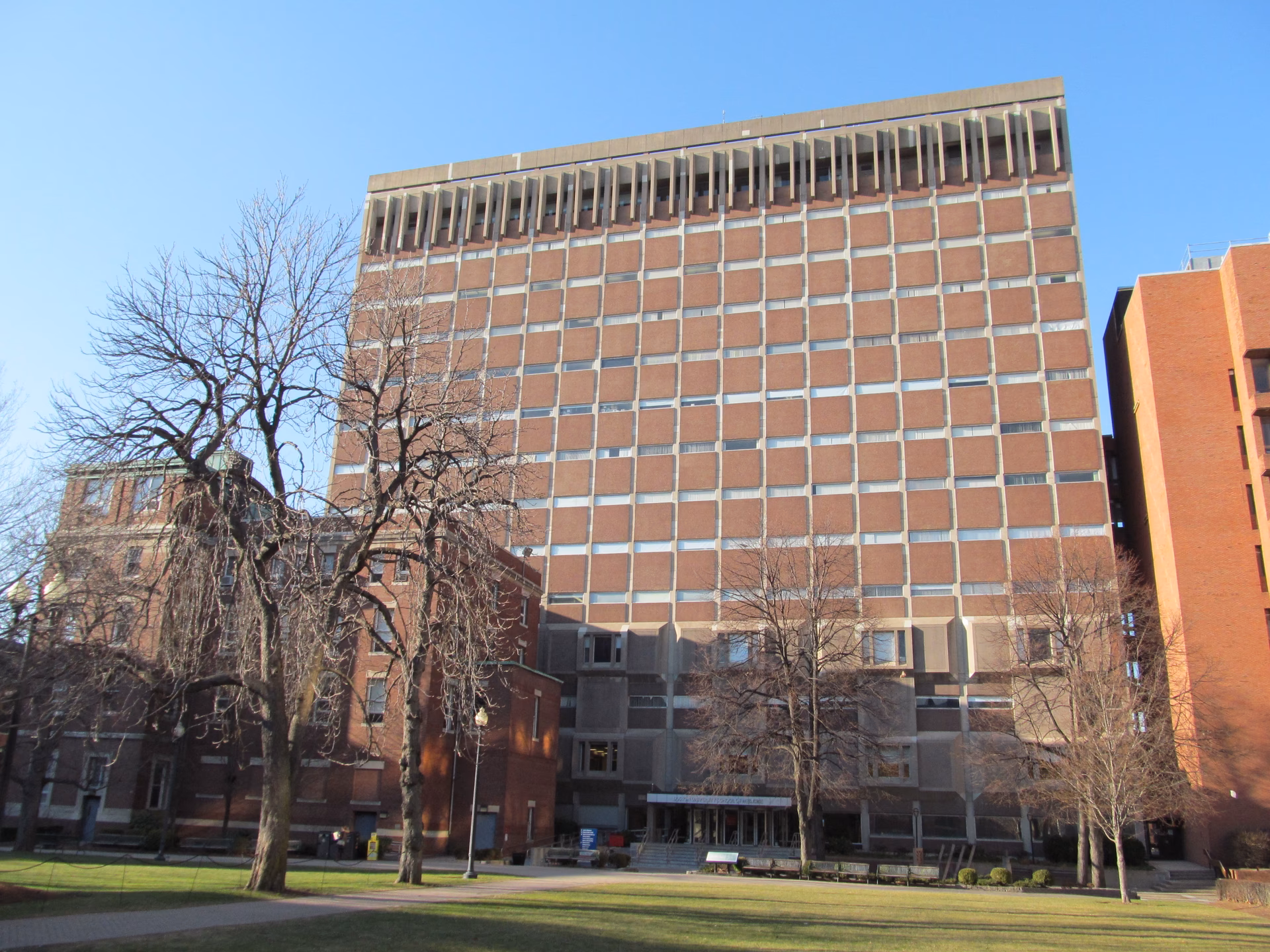 Does Boston University offer cosmetic surgery?