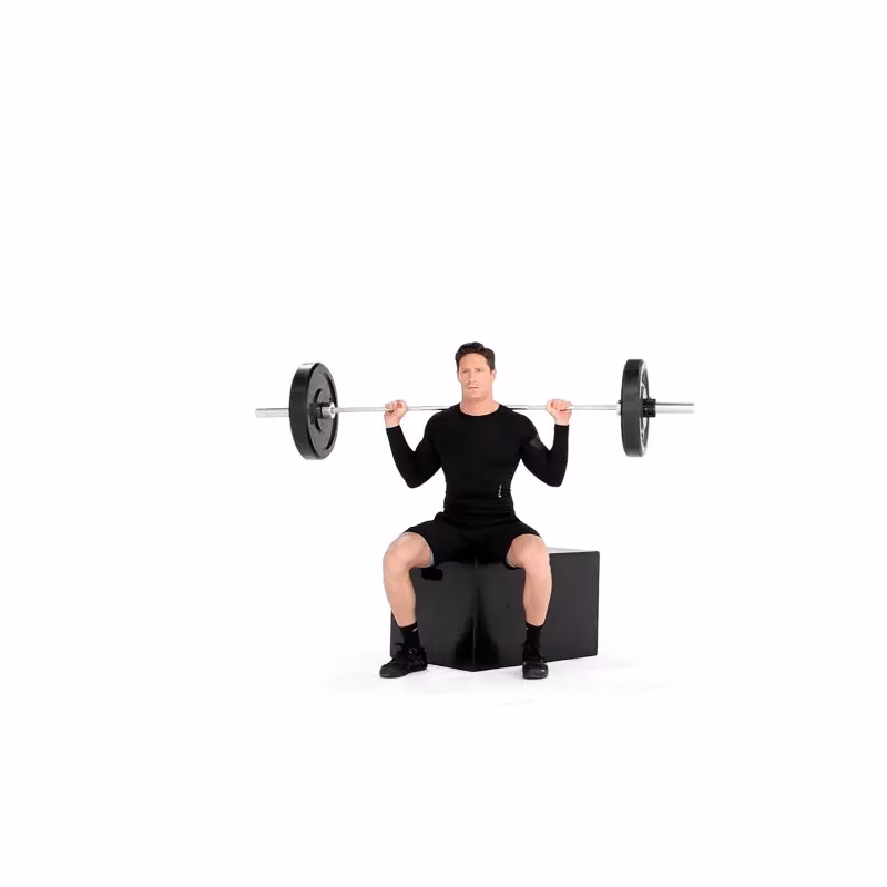 What is a barbell box squat?
